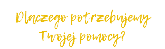 yf40ad1154fbc389.png
