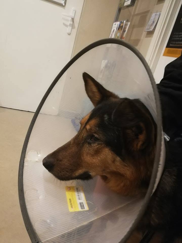 k9IHs95bP08h3uCE.jpg