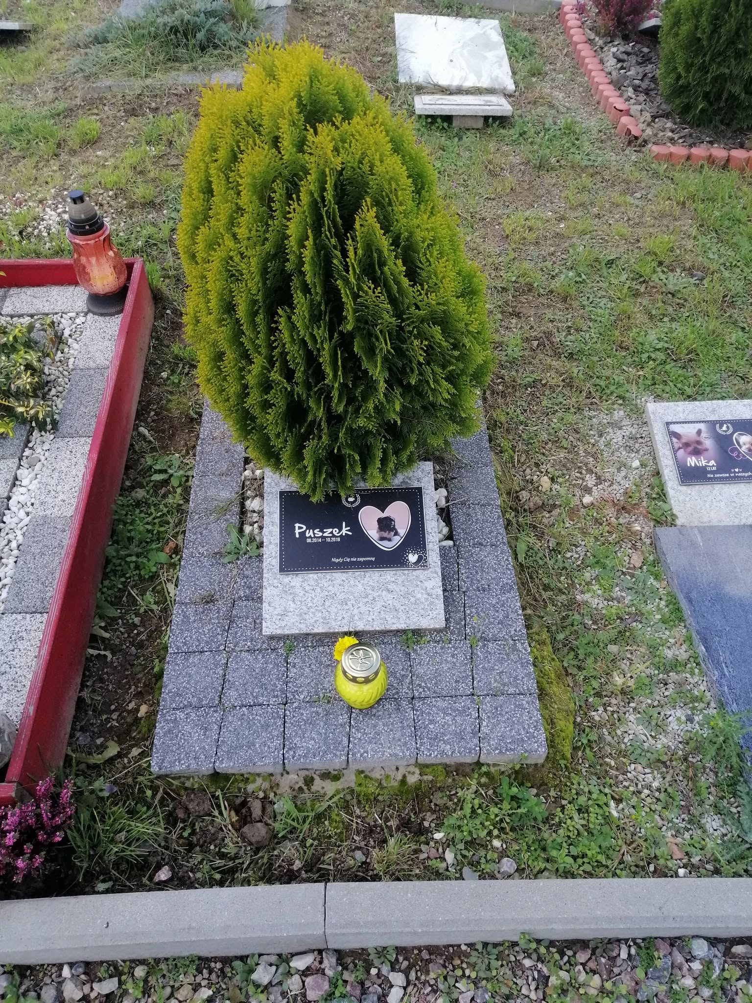 nA3RYzeifkJNJCKE.jpg
