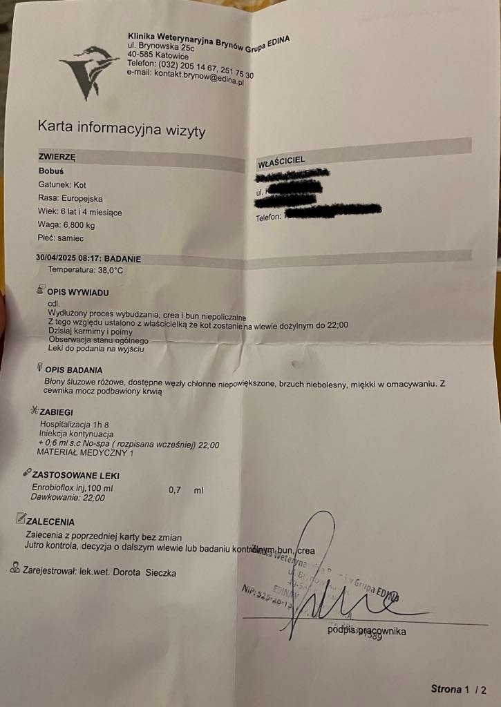 FKY46pnfPjVYFtIC.jpg