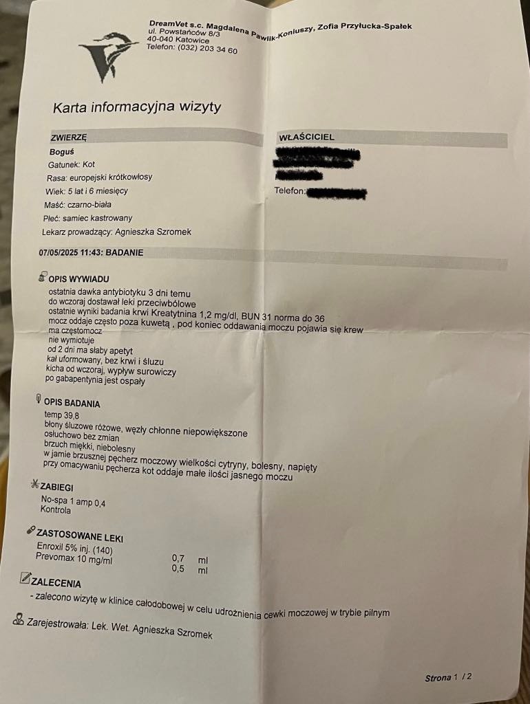 ZbADBDoVDKSZUCXu.jpg