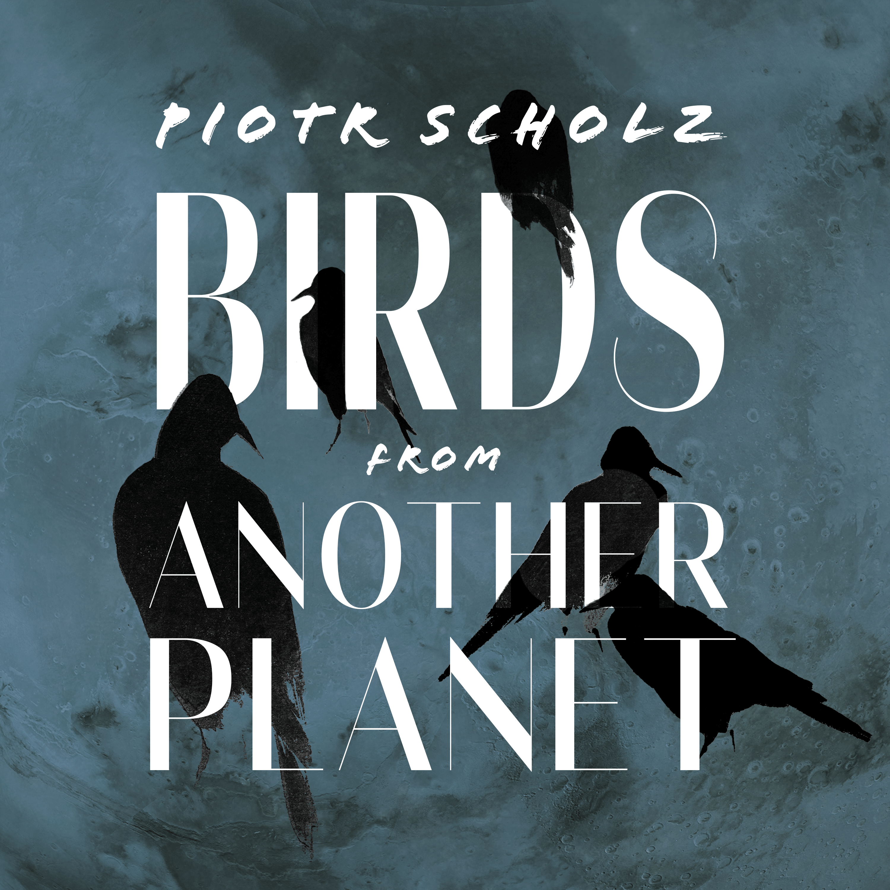 CD "BIRDS FROM ANOTHER PLANET" + CD "SUITE THE ROAD"