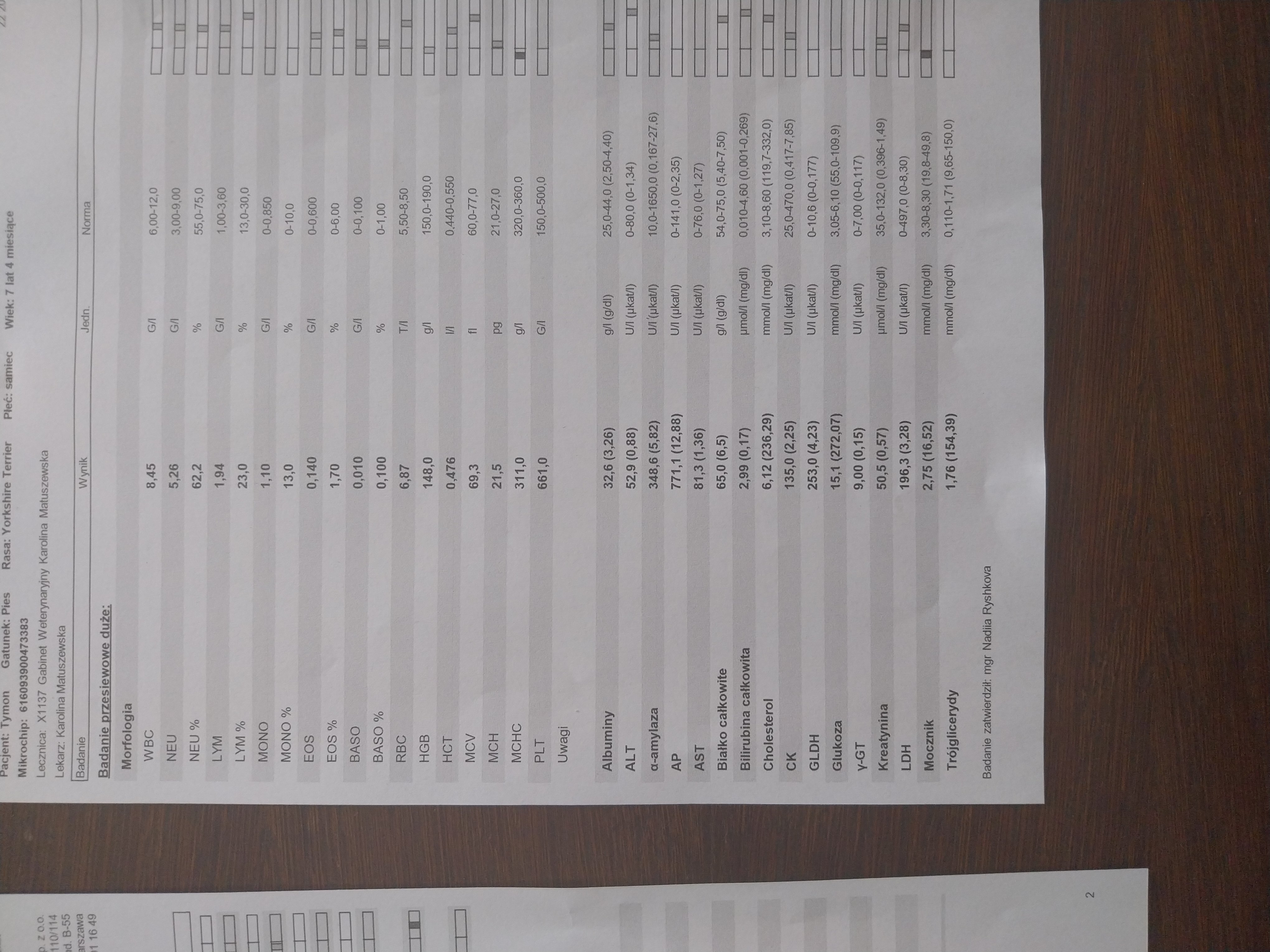 DYnjV85T4aHD6it4.jpg