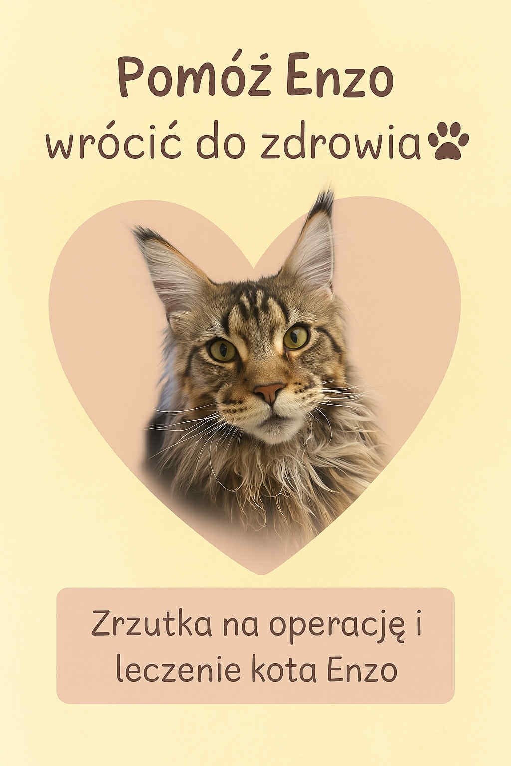 BxL0W3XTdLMQaivI.jpg