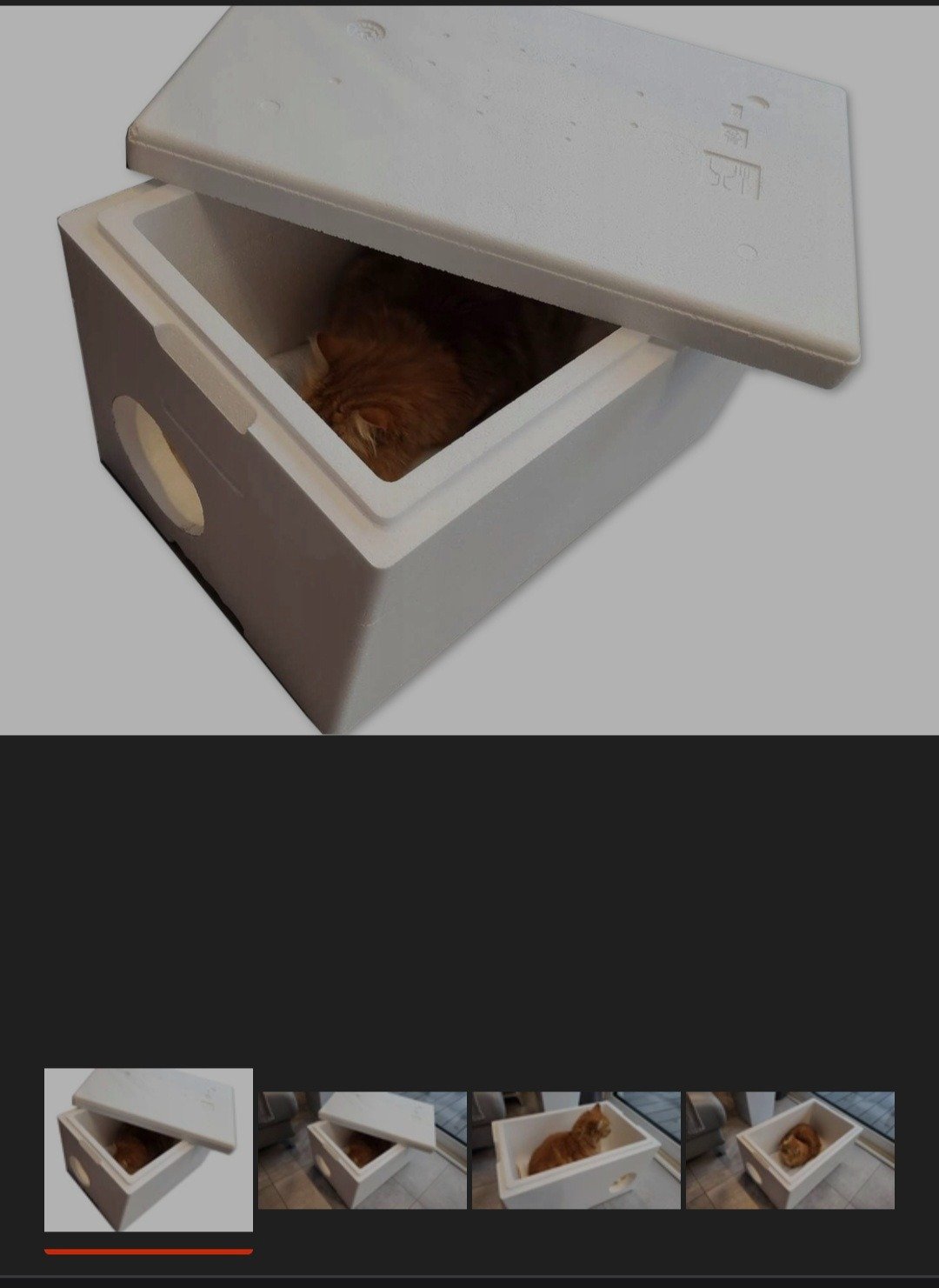 EXa2UGZFCUb9njbV.jpg