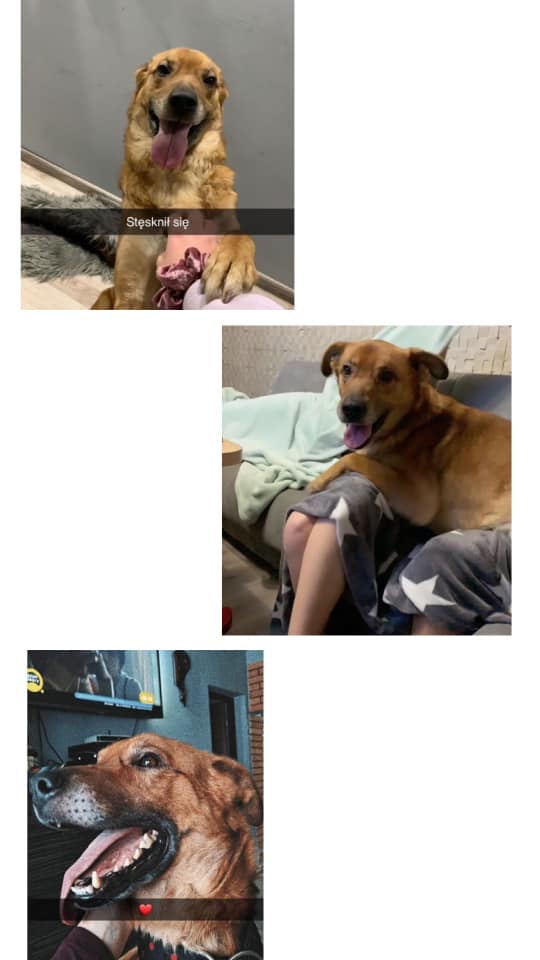 b8d3a9307f8a9b36.jpeg