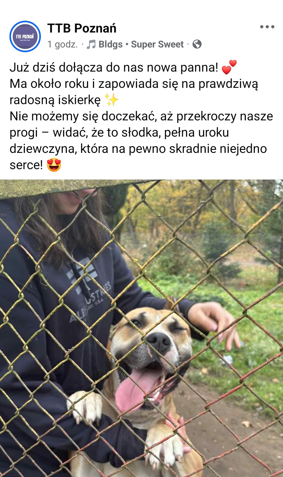 hgAtQsWfSDXjA4oW.jpg