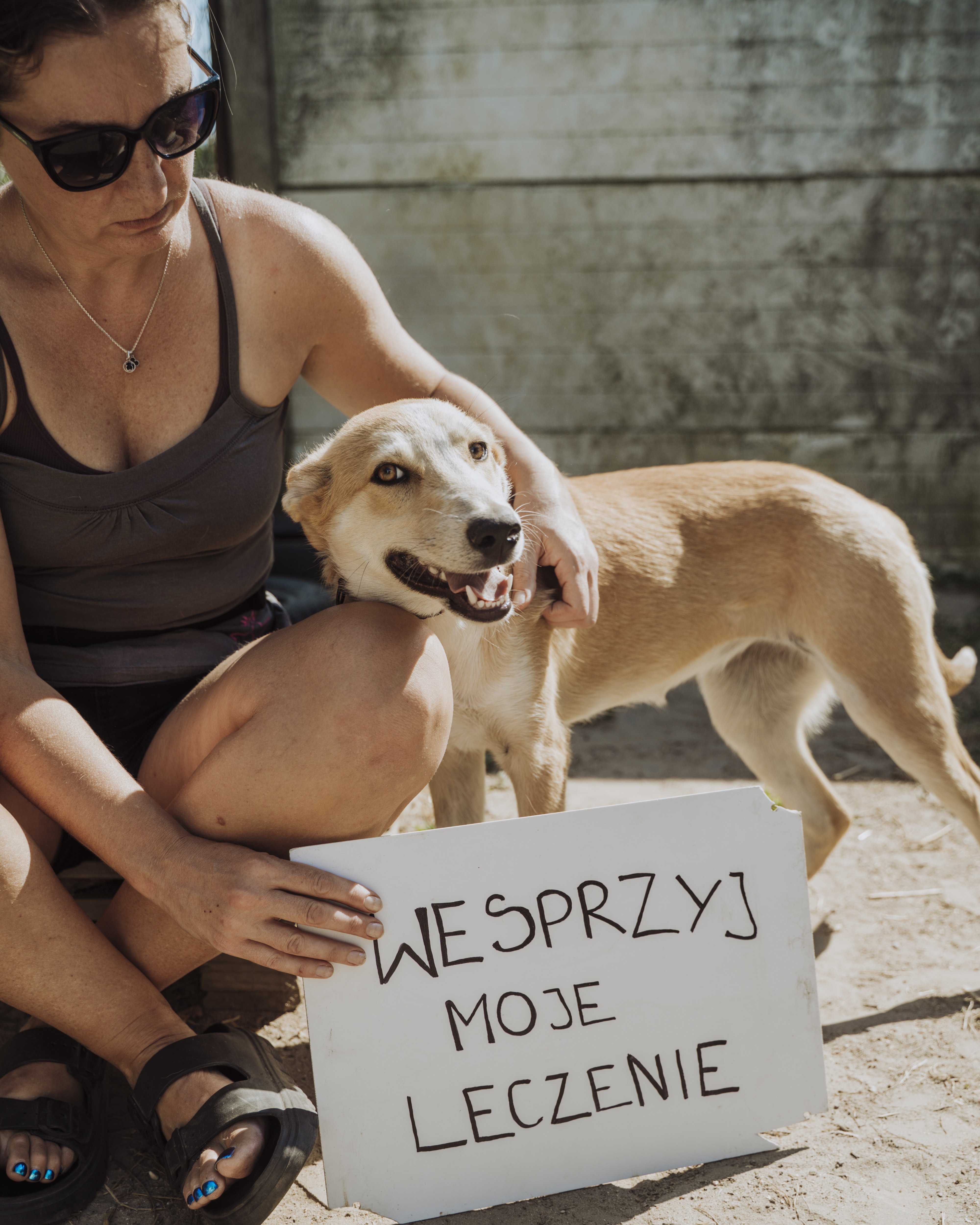 nPjhIypSSdecH485.jpg