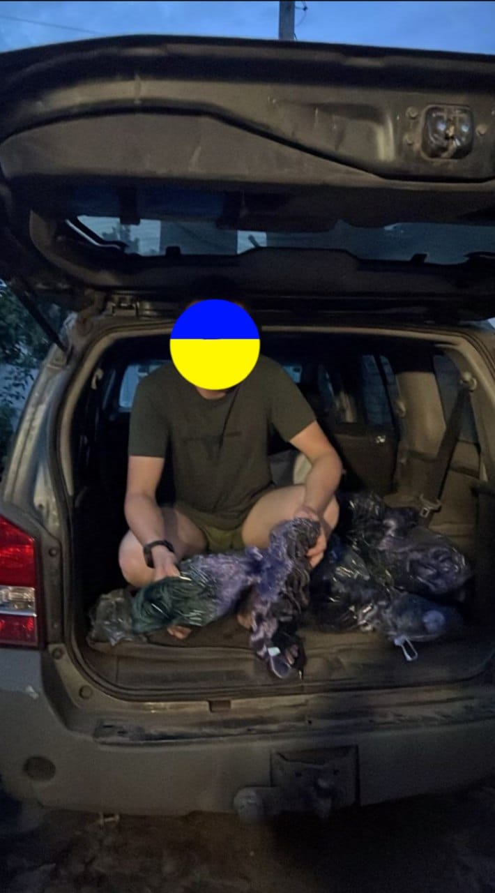 zhCG3rkF9qeXb7s7.jpg