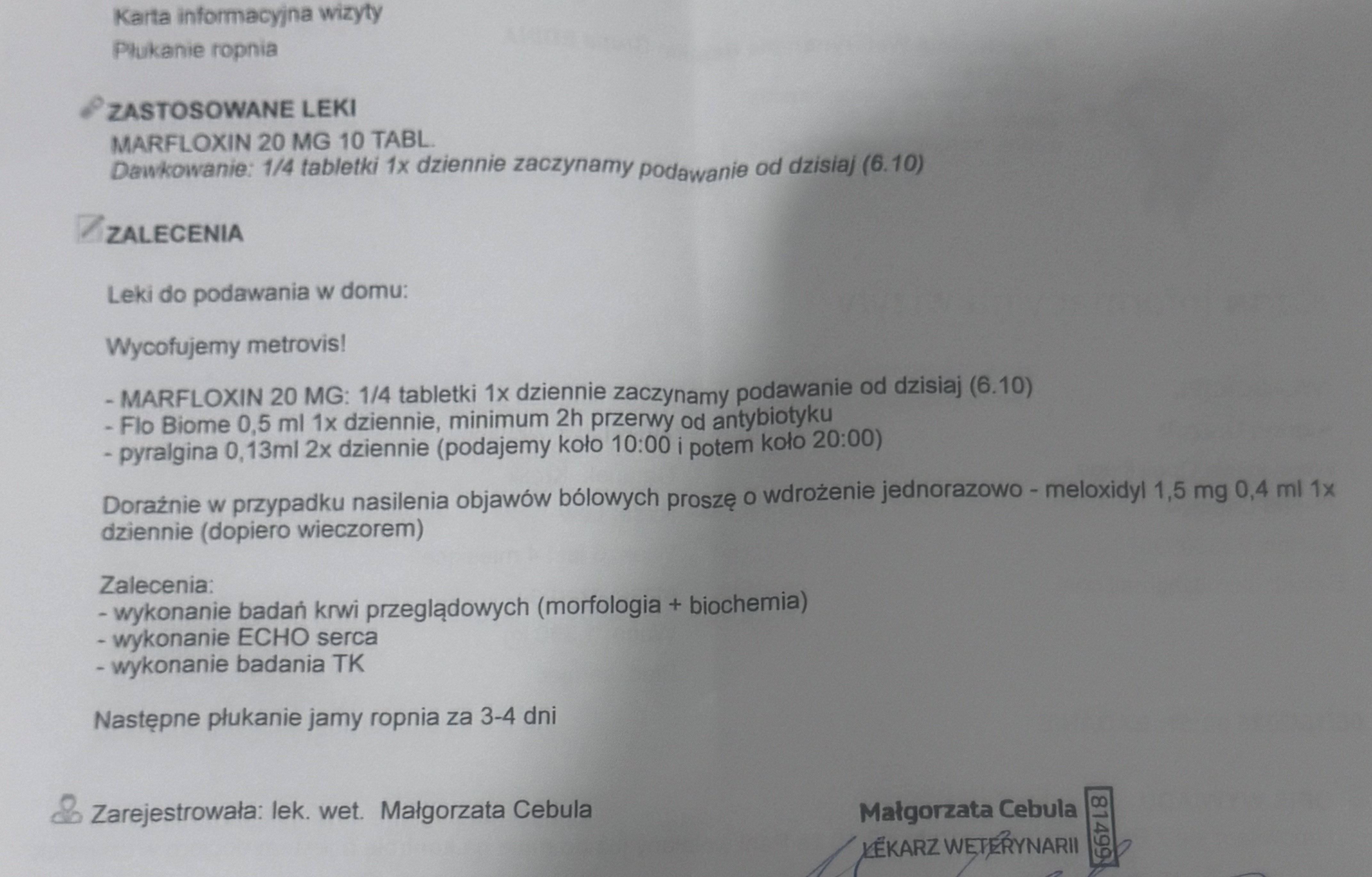 bEwTgPSELcM2i4N3.jpg