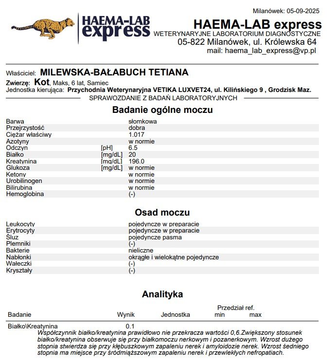 JrkjJ2pmH2FtZlC3.jpg
