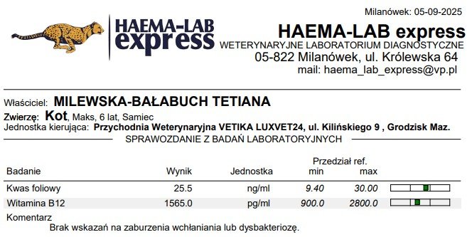 eXzAO3MWiRpgzXY0.jpg