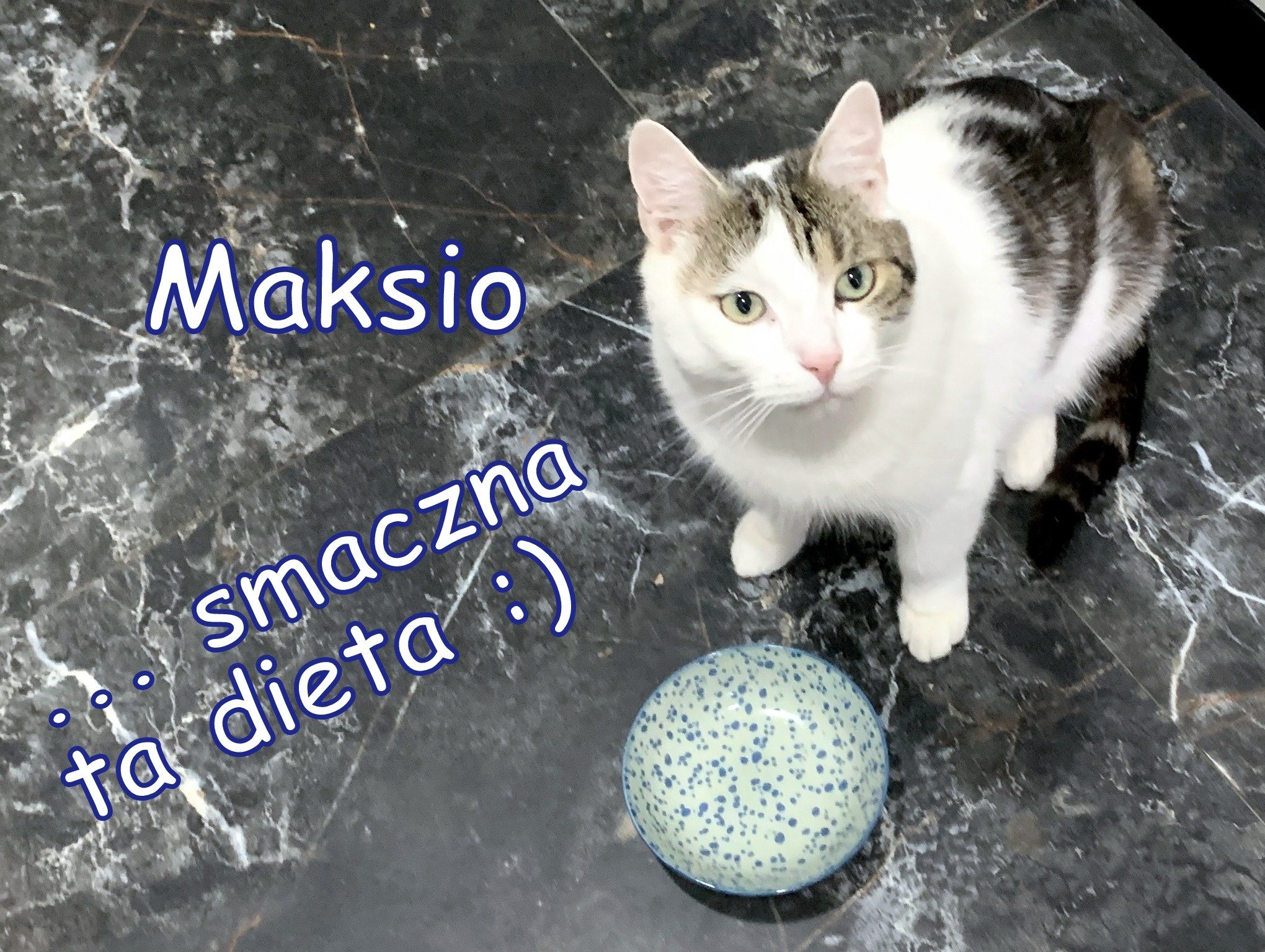 yotKJlQyczv1Li7O.jpg