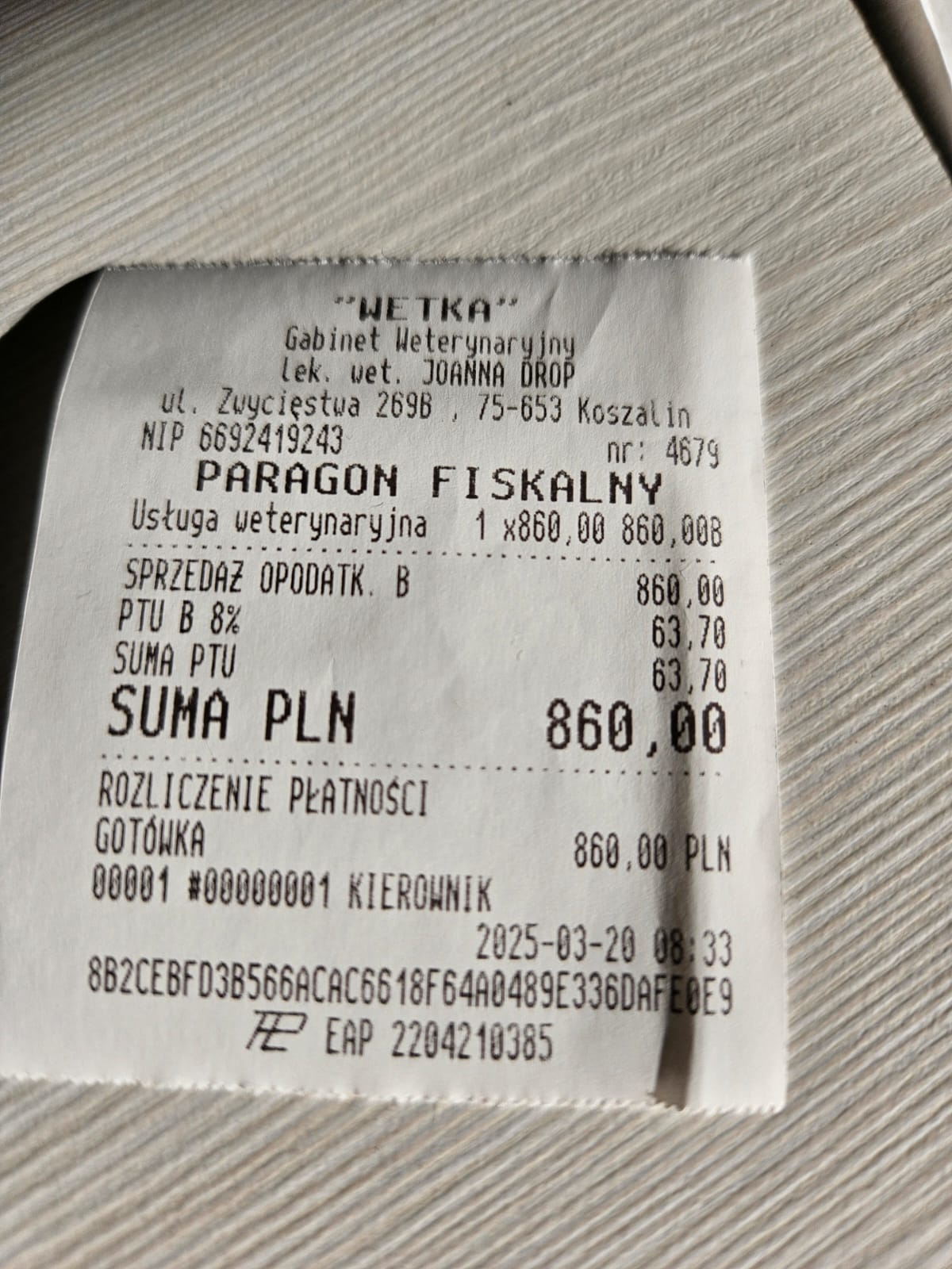 dqd6DM2P085SqVQj.jpg