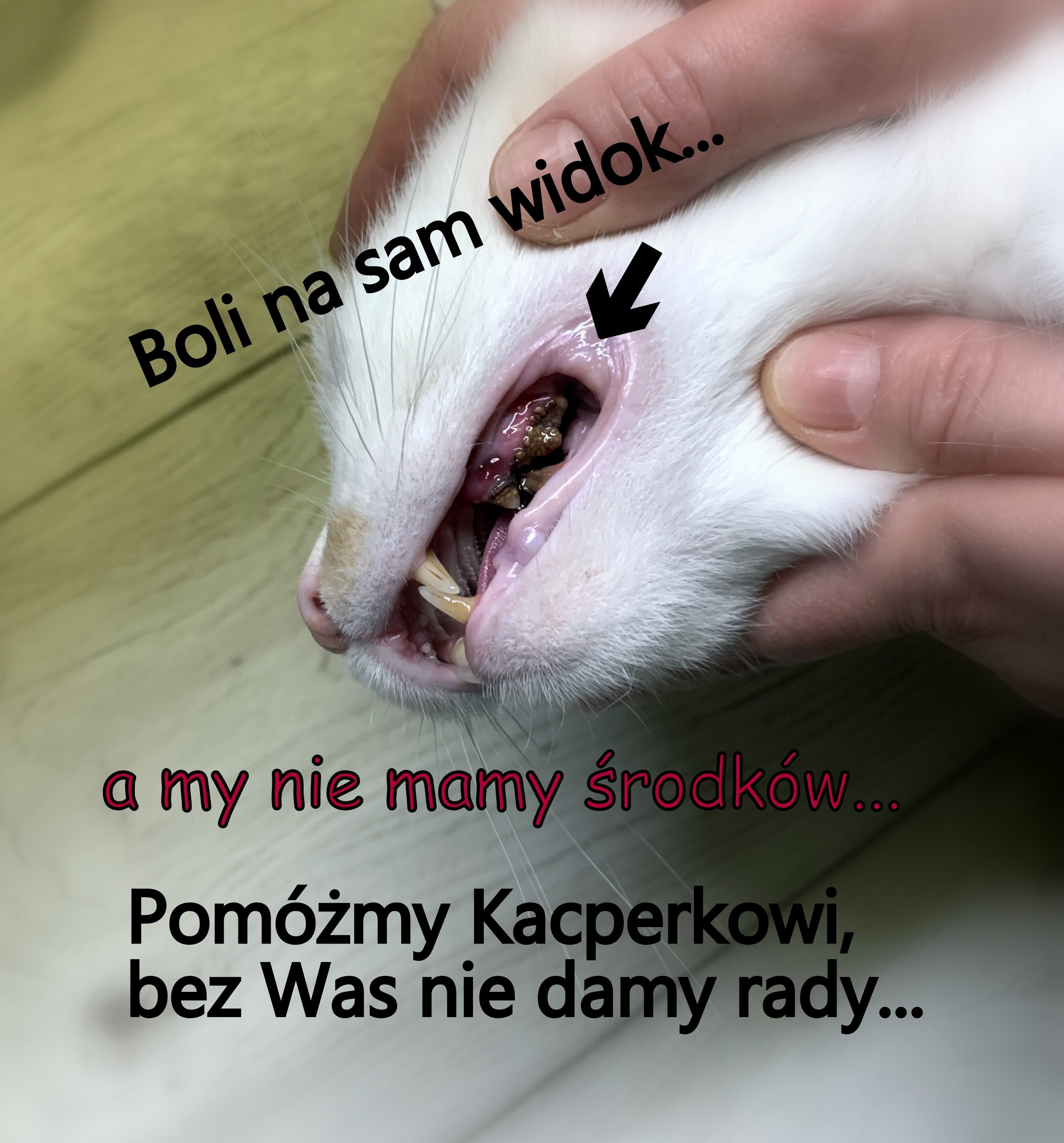 a1AFvNDd4hoKwtkD.jpg
