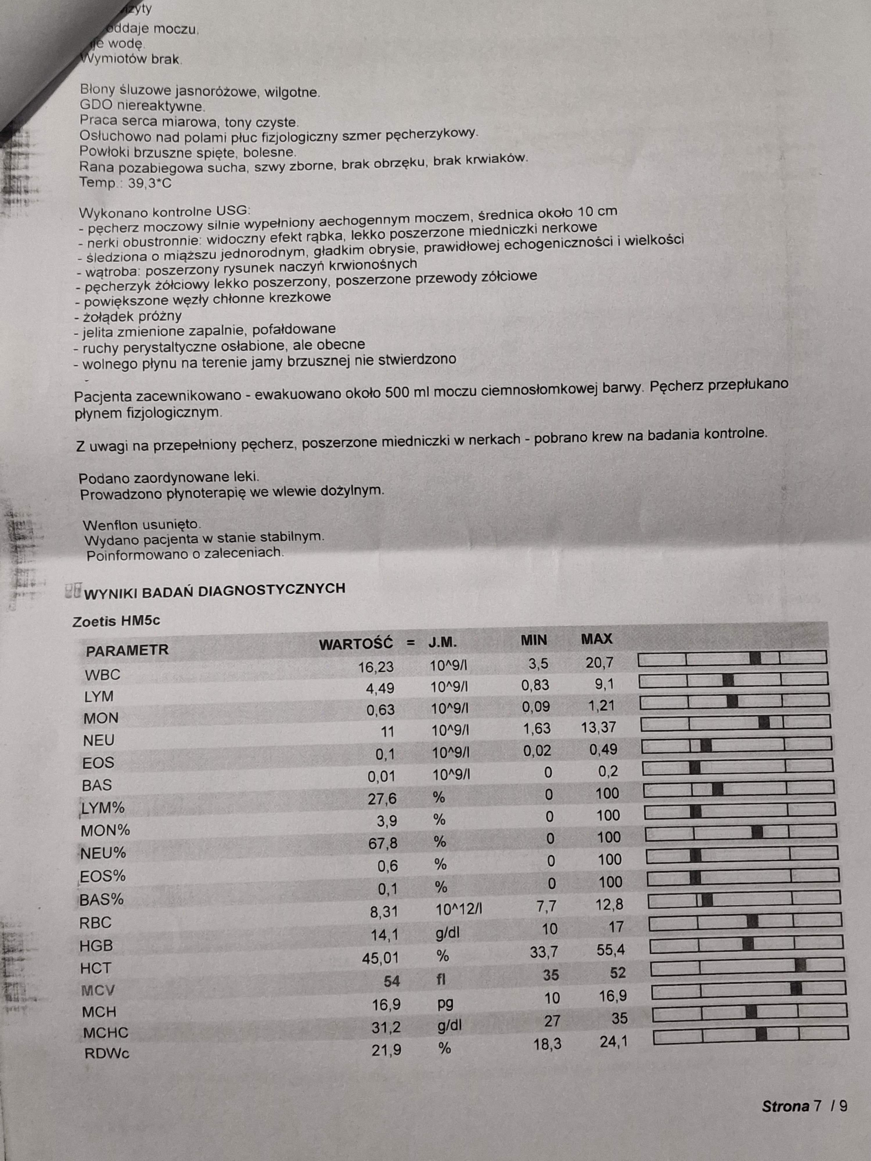 JKPAzoiaOqbtc17L.jpg