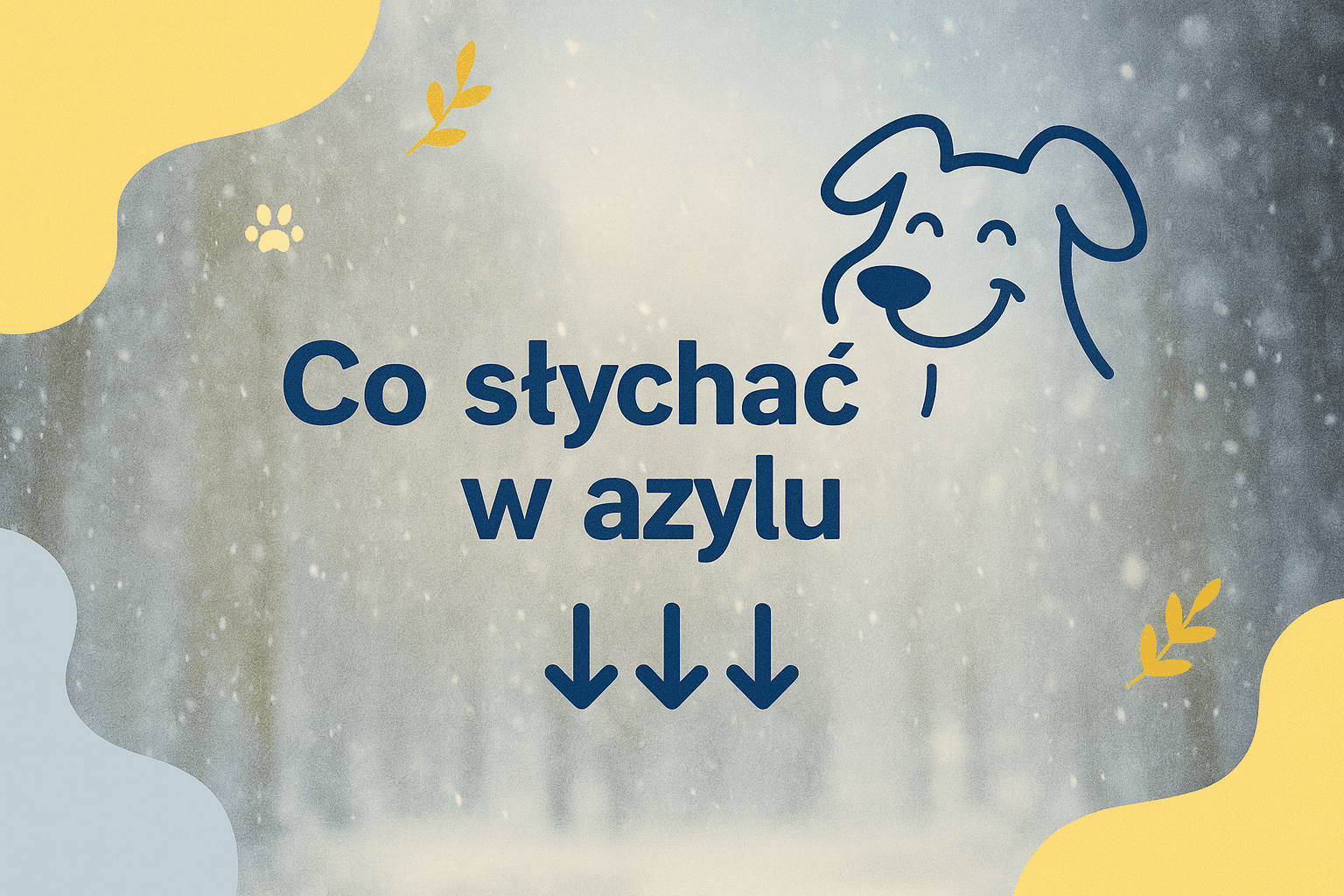 Y7BixgIGavtepFqa.png