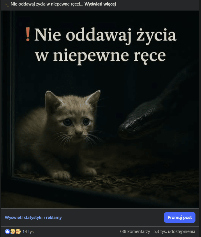 s8I7ybLxQJmvaUdz.png