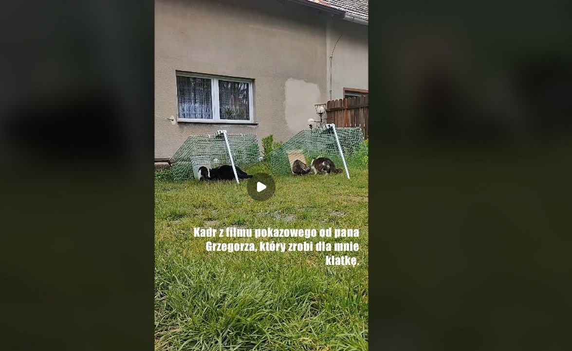 cK6l2YEHZelwclIo.jpg