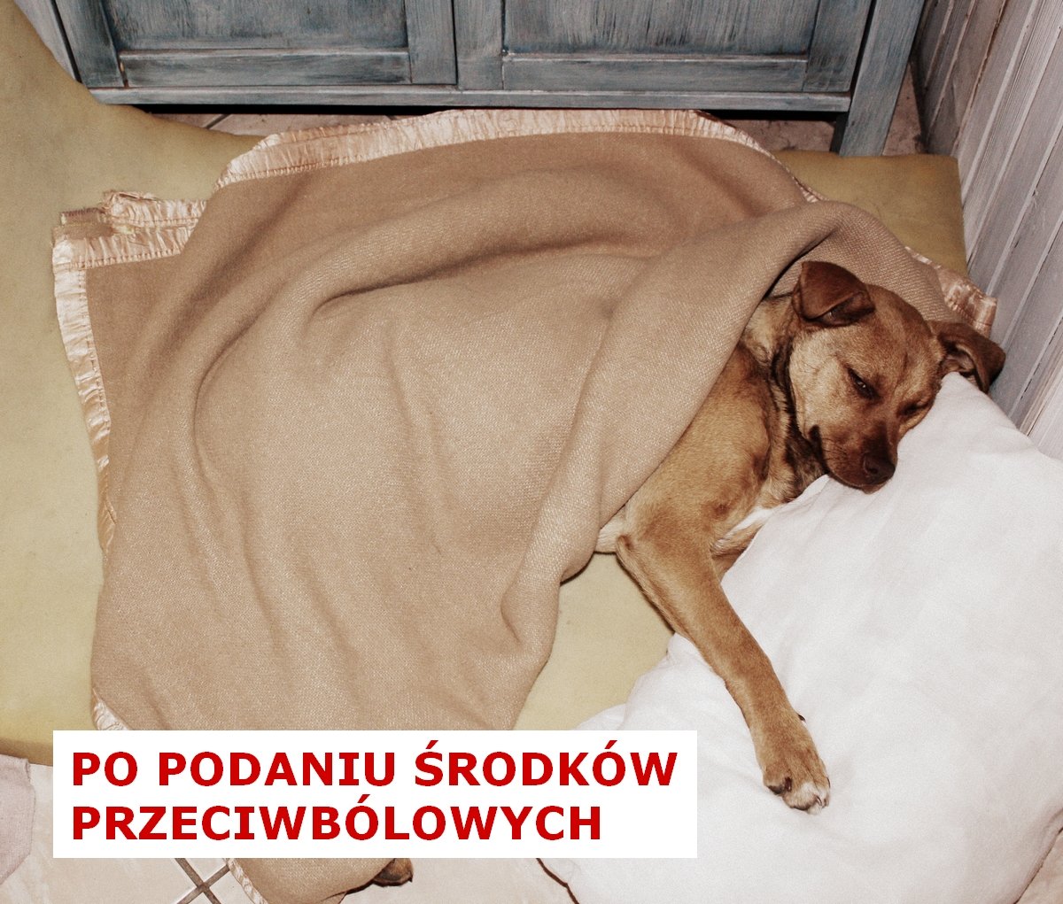 u1PBp9lYZkfrjAUN.jpg