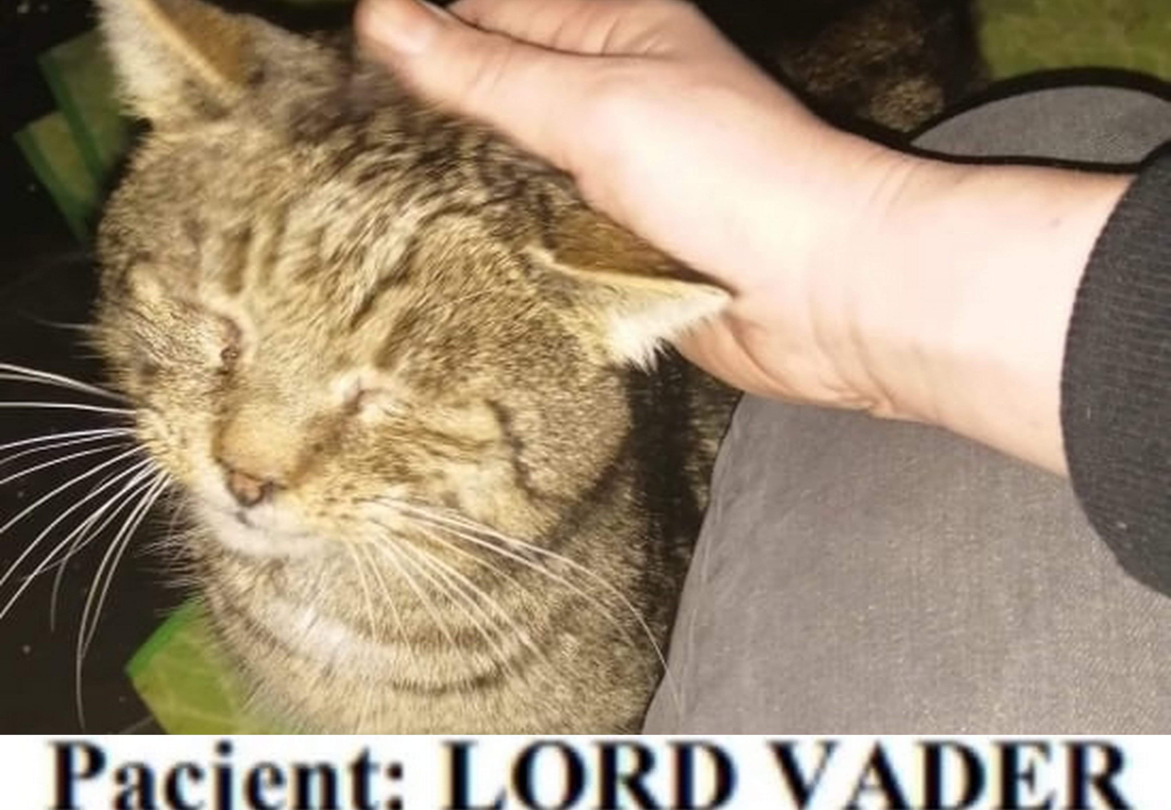 rbed86c6a5db461c.jpeg