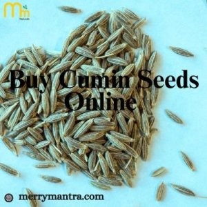 Buy Cumin Seeds Online 